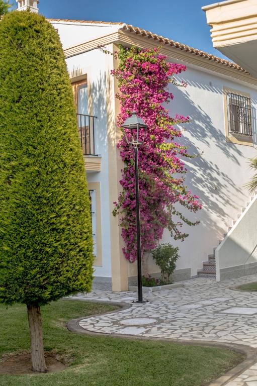 Vonkajšia záhrada v ubytovaní Apartamento Soleado Vera Costa, 200 m de la playa