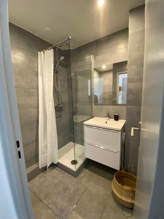 uma casa de banho com um chuveiro e um lavatório. em Studio bohème - Centre - Proche gare em Mulhouse