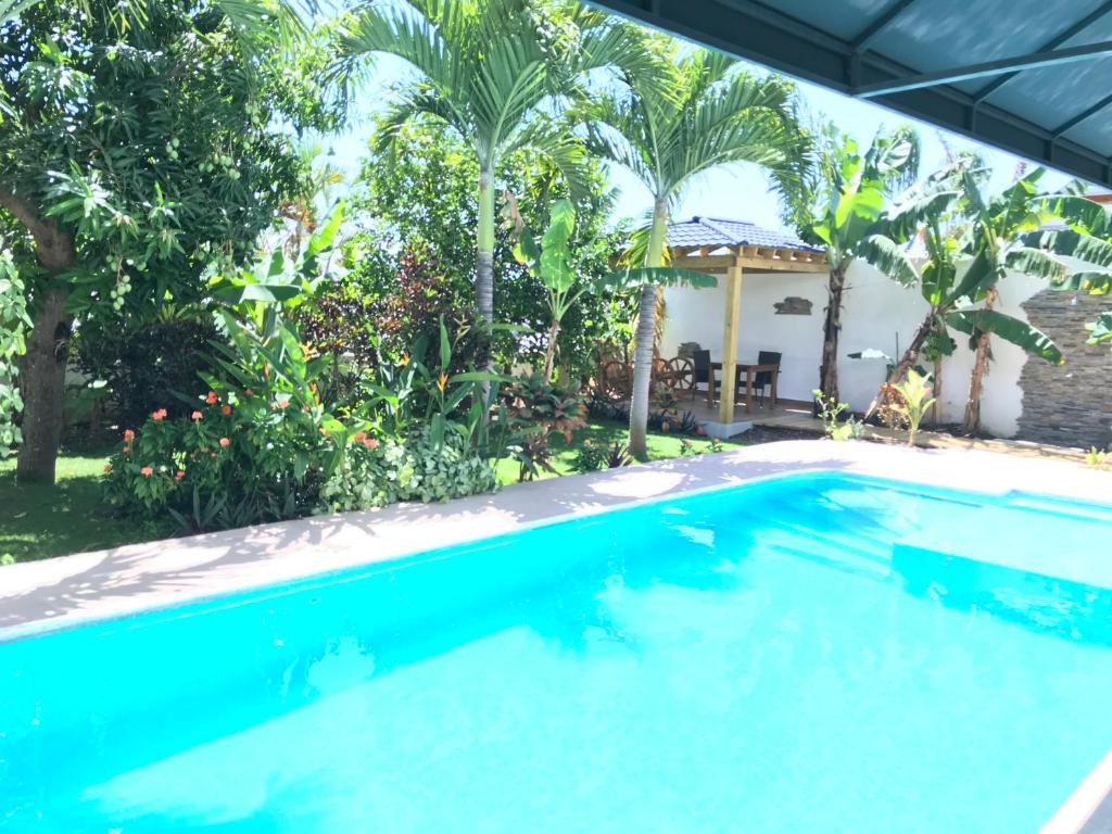 a swimming pool in front of a house with palm trees at Centro de Santiago in Santiago de los Caballeros