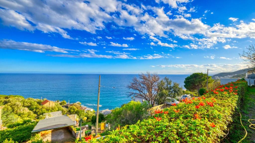 a view of the ocean from a hill with flowers at Studio plage in Santa-Maria-di-Lota