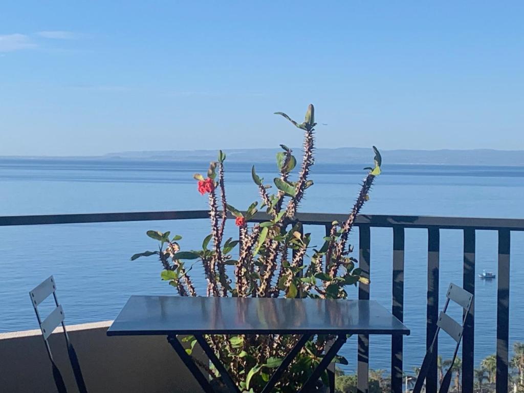una maceta sentada en una mesa en un balcón en Casa Nausica, en Aci Trezza