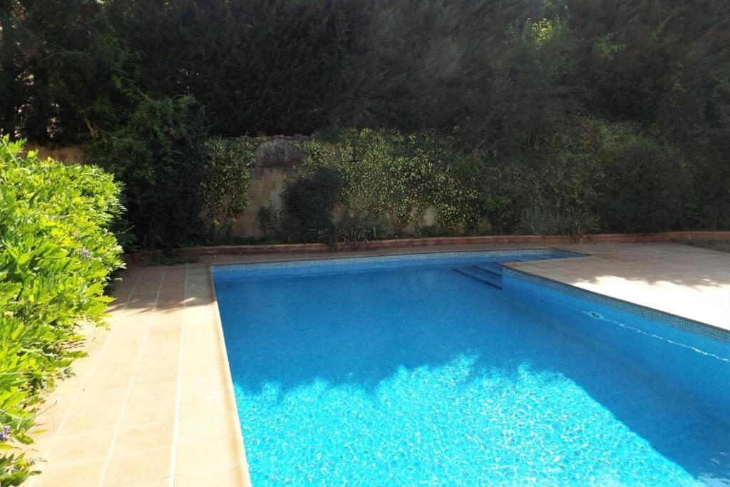 uma grande piscina azul num quintal em Casa St Llorenc de la Muga em Sant Llorenç de la Muga