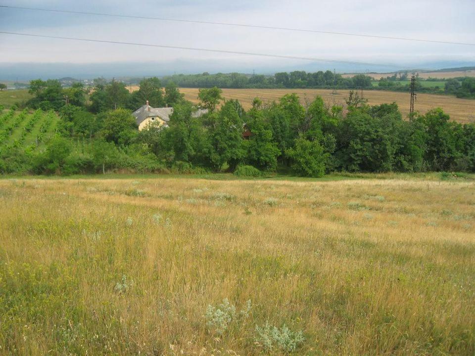 a field with a house in the middle of a field at Vincellér Vendégház 