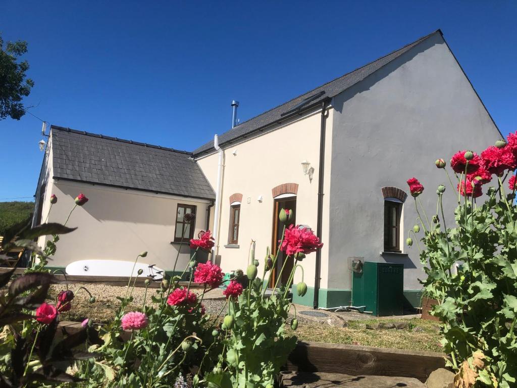 ein weißes Haus mit roten Blumen davor in der Unterkunft Ty Rhosyn in Haverfordwest