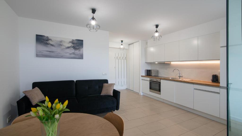 Kuchyň nebo kuchyňský kout v ubytování Apartamenty Sun & Snow Bukowa Góra