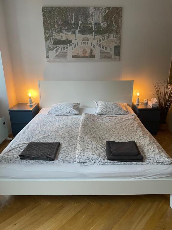 1 cama blanca grande con 2 almohadas en Cozy city apartment near city center, en Viena