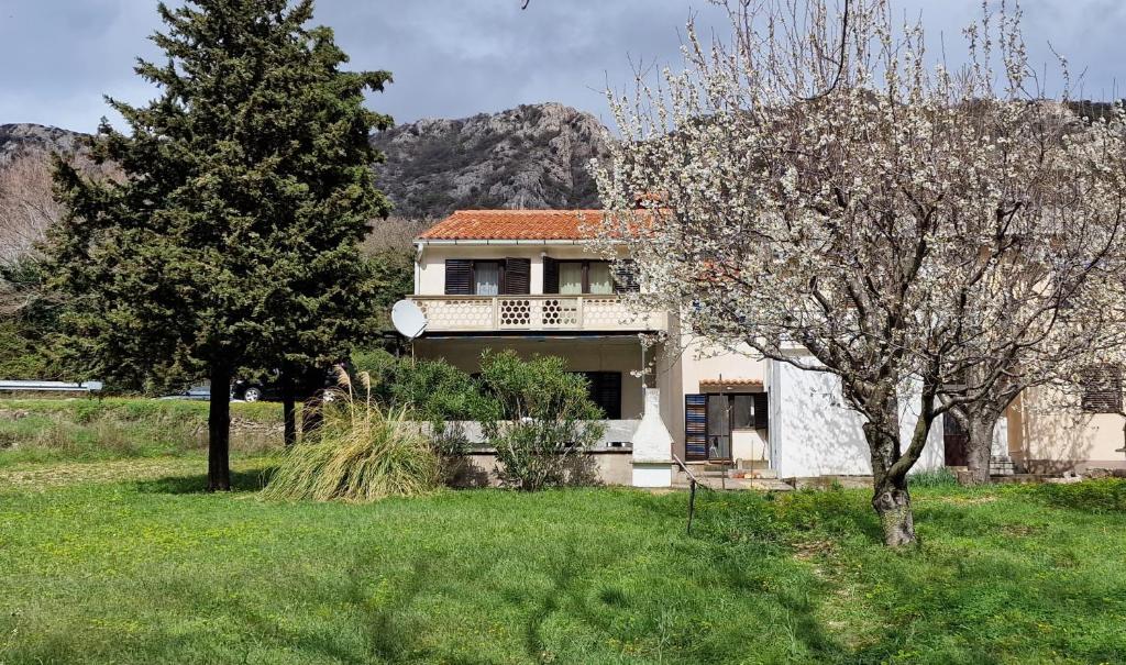 a white house with a tree in a field at SWIM and CLIMB BAŠKA HOLIDAY HOUSE - island KRK in Draga