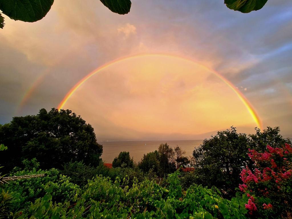 a rainbow in the sky over the water with trees at Apartments Zlatko in Ičići