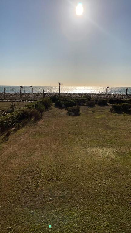 un champ d'herbe avec l'océan en arrière-plan dans l'établissement Appartement vue exeptionnelle sur la mer 6 personnes, au Barcarès