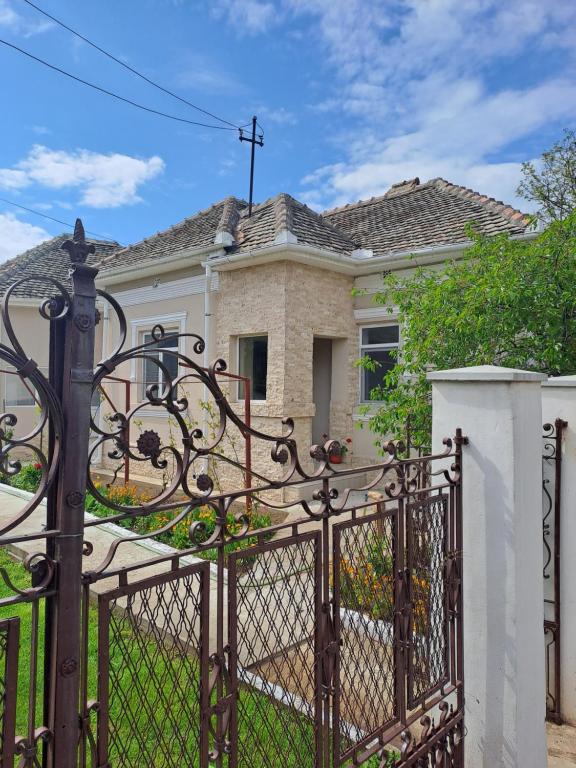a gate in front of a house at Casa Dragos in Basarabi