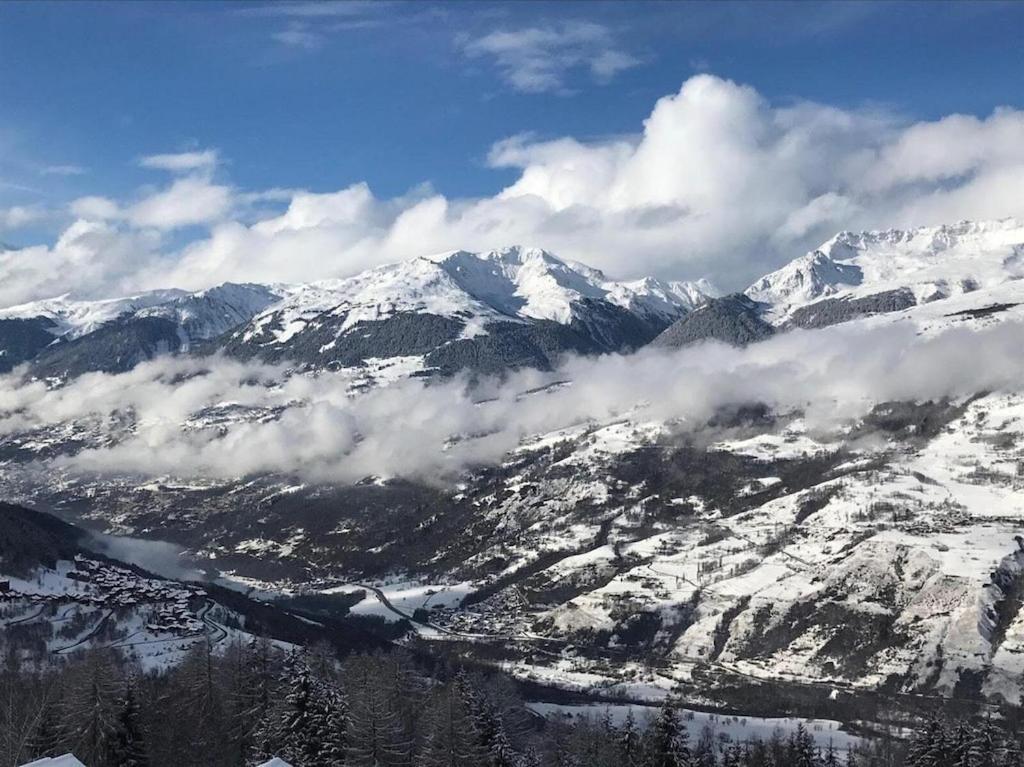 Příroda nedaleko apartmánu