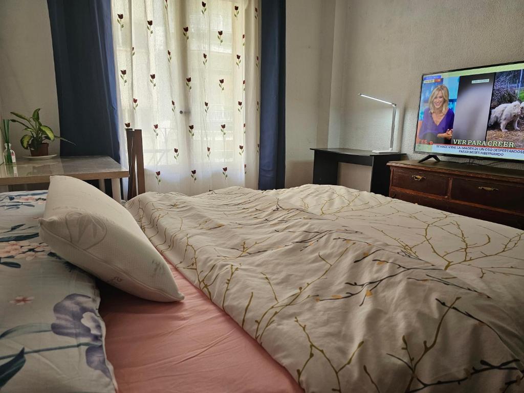 1 dormitorio con 1 cama y TV de pantalla plana en Harmony Room, en Madrid
