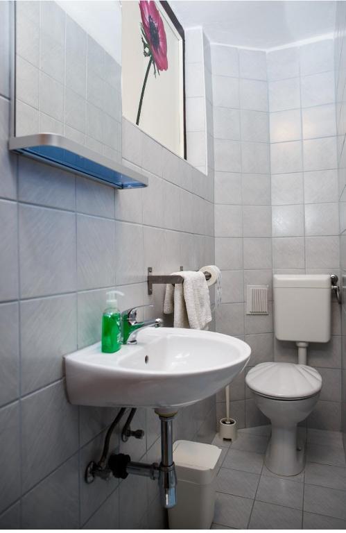 House Pljesevica - 11