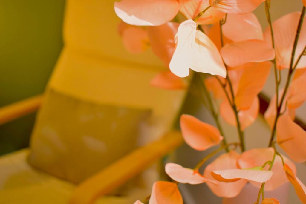 Carmen Art Hotel - Resim 29