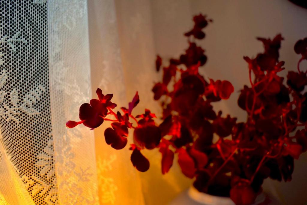 Carmen Art Hotel - Resim 44