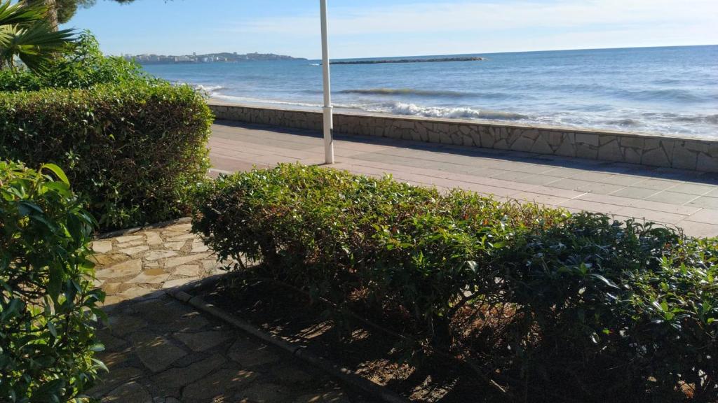 Fotografie z fotogalerie ubytování Internacional I. Primerísima línea de playa v destinaci Vilafortuny