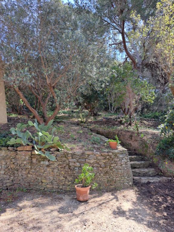 Zahrada ubytování BASTIDE PRESQU ILE DE GIENS SUPERBE VUE MER PISCINE