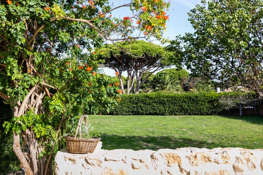 Fotografie z fotogalerie ubytování ONLY FAMILIES Villa and Guest House with Private Pool v destinaci Chiclana de la Frontera