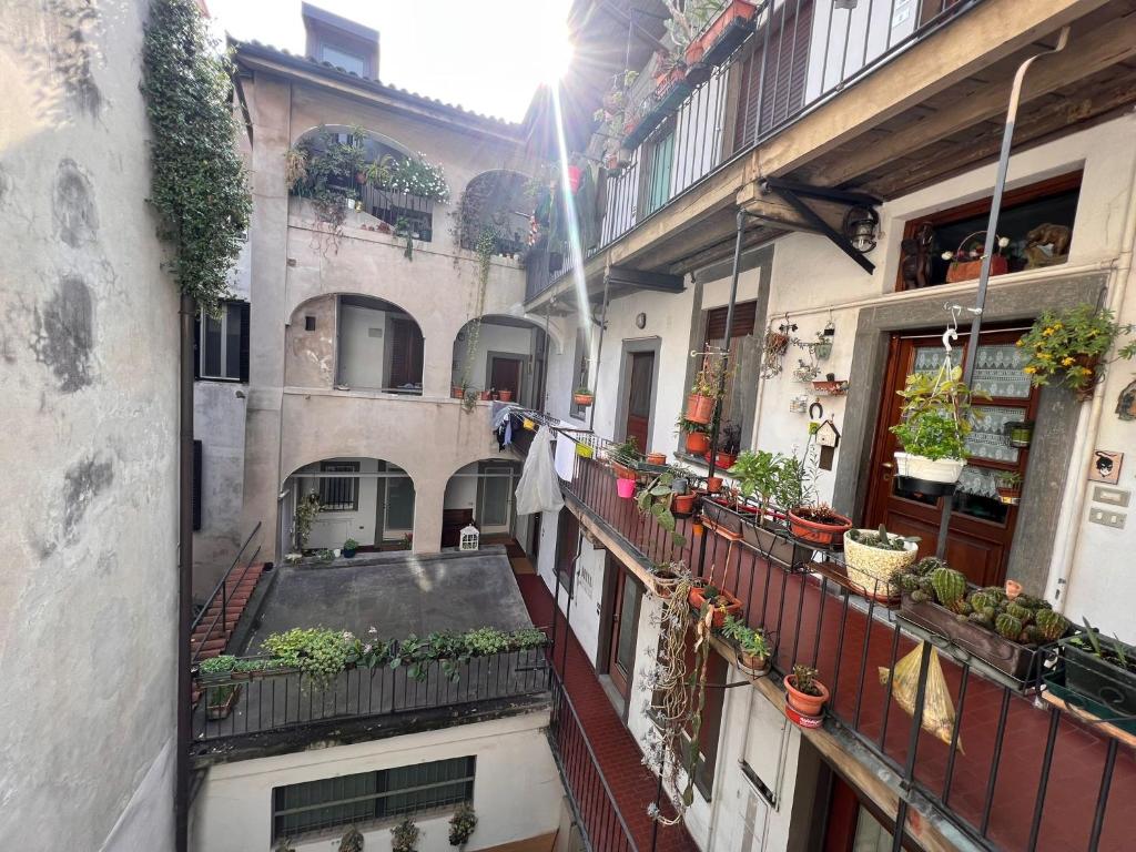 Bancalegno Sweet Dreams - 9