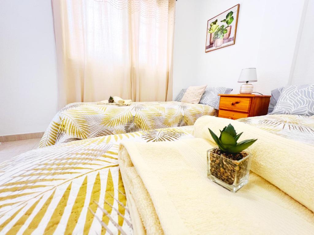 a bedroom with two beds and a plant on the floor at !!! Relaxing View, The Heights Apartment With Terrace and Heated Pools, Los Cristianos in Los Cristianos