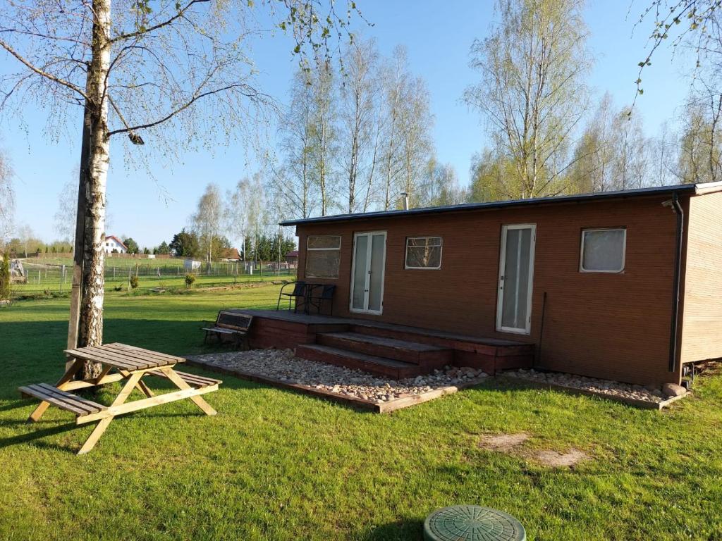 uma pequena cabana com uma mesa de piquenique e uma árvore em Łosiówka Domek nad Sapiną em Pozezdrze