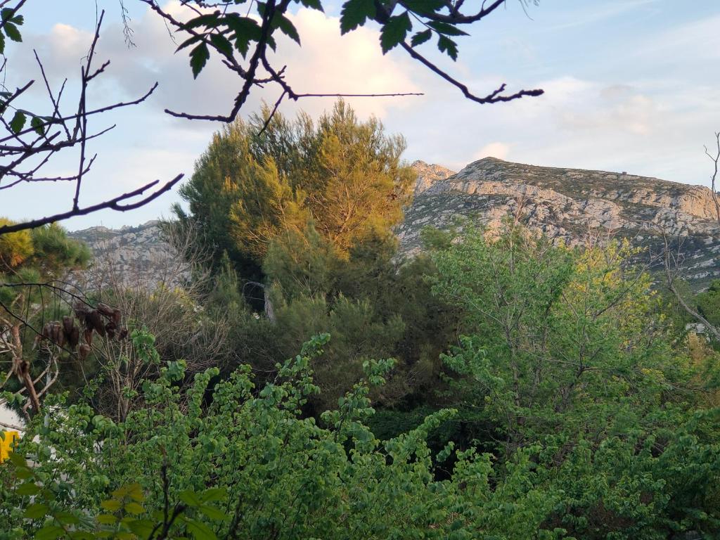 a view of the mountains from the forest at Au pied des calanques, nature, plages à 6min, parking, bus direct, idéal famille in Marseille