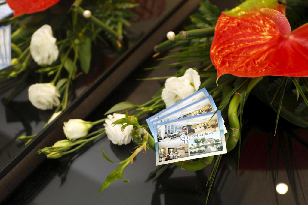 Fotografie z fotogalerie ubytování Hotel Gardenia v Rimini