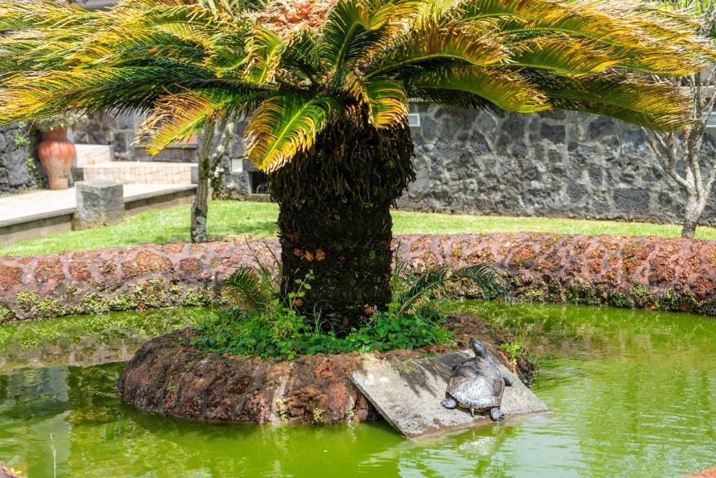 Quinta da Paz Azores - 2