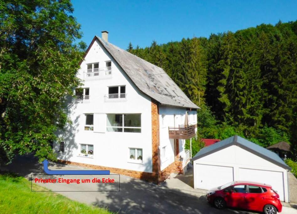 2 Zi. FeWo in Waldrandlage mit großem Grundstück, HerdwangenSchönach