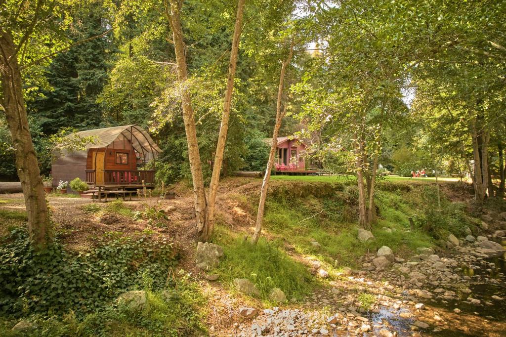 a cabin in the woods next to a river with trees at Big Sur Campground and Cabins in Big Sur