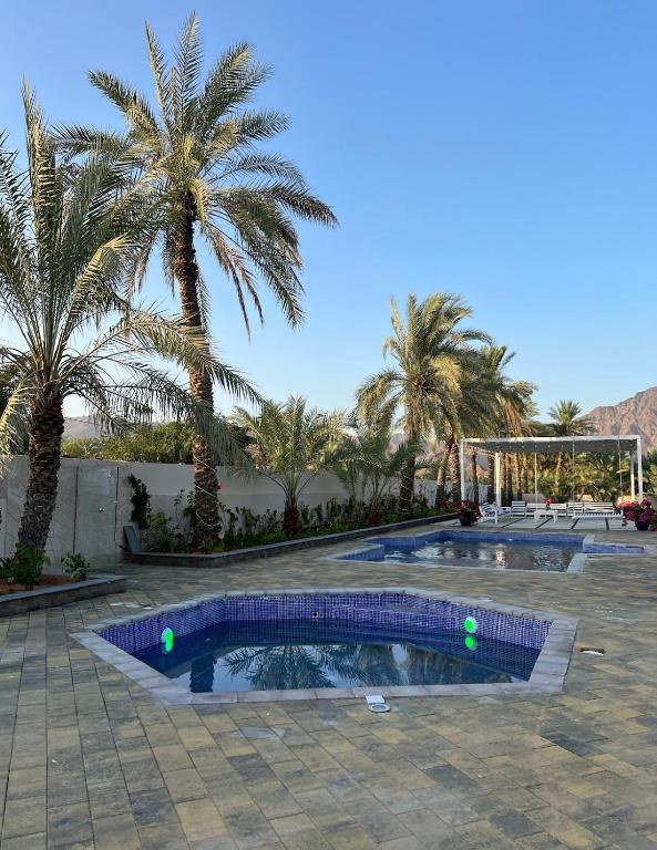 a swimming pool in a courtyard with palm trees at Luxury Farm Stay 50 in Badīyah
