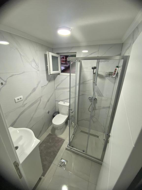 a bathroom with a shower and a toilet and a sink at Saraapartman in Plav