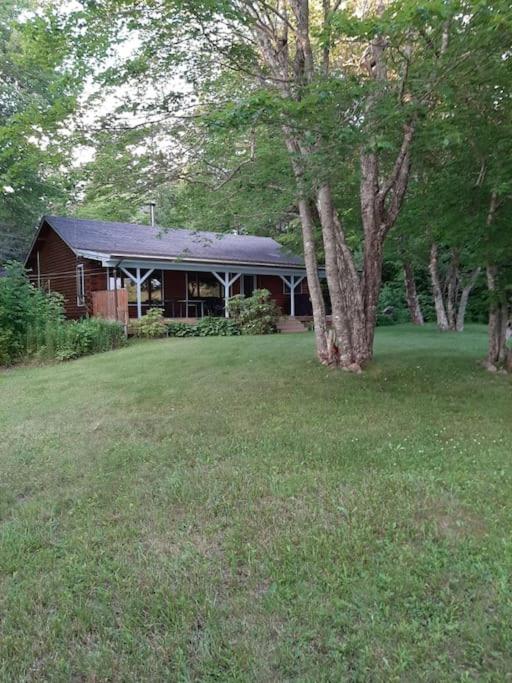 a house with a tree in the middle of a yard at Sherbrooke Lake Cottage with Private Beach in Mahone Bay