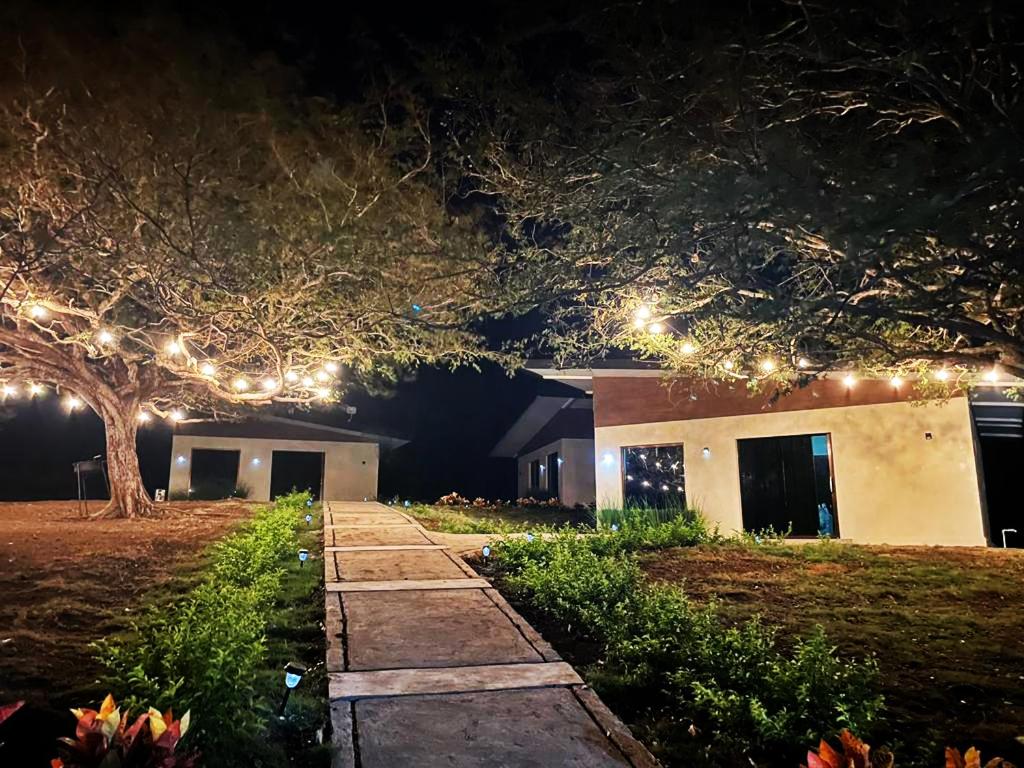 einen Garten in der Nacht mit Lichtern an einem Baum in der Unterkunft LOSARA BEACH SALINAS in El Jobo