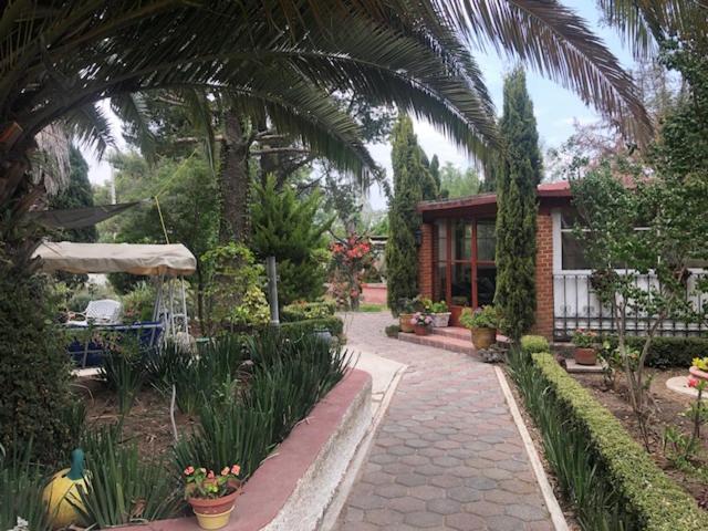 einen Garten mit einem Palmenhaus in der Unterkunft Casa de campo 