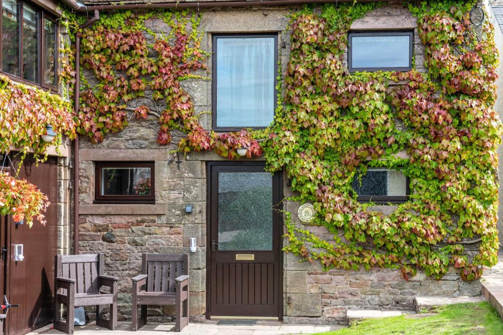 a building covered in ivy with two chairs and a door at Round Knott, Sebergham, Nr Caldbeck in Sebergham
