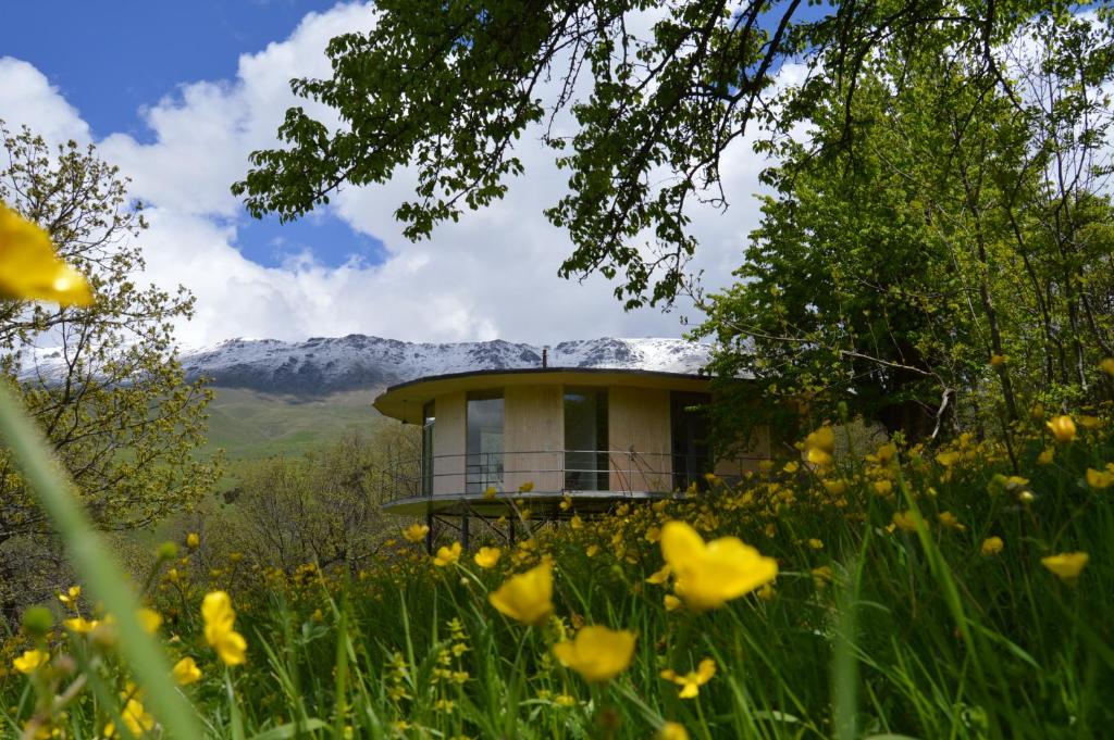 a house in the middle of a field of flowers at Nature Rooms-Cozy Cabin in the Woods 