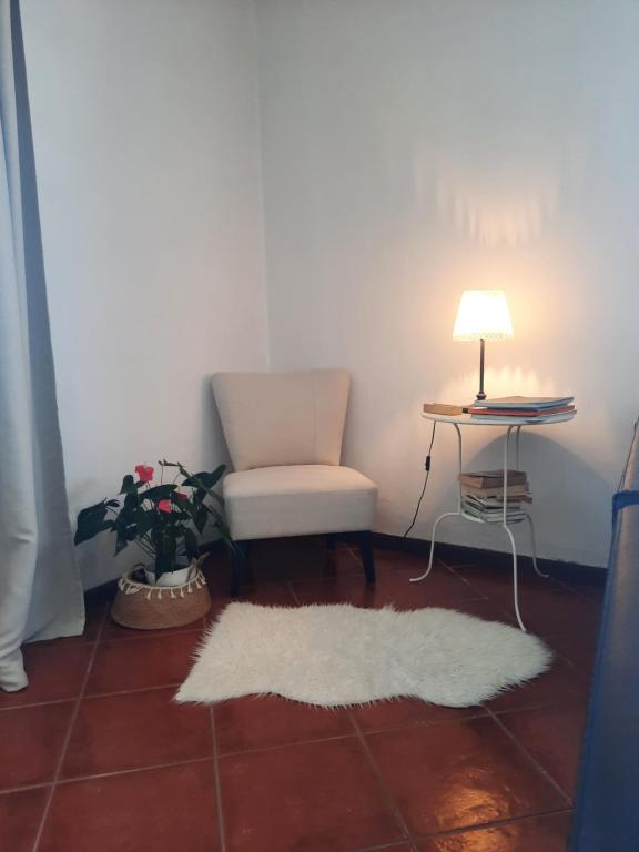 Casa das Camélias - 5