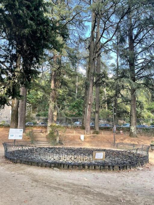a stone bench in a park with trees at Maison de village le BACCI in Vals-les-Bains