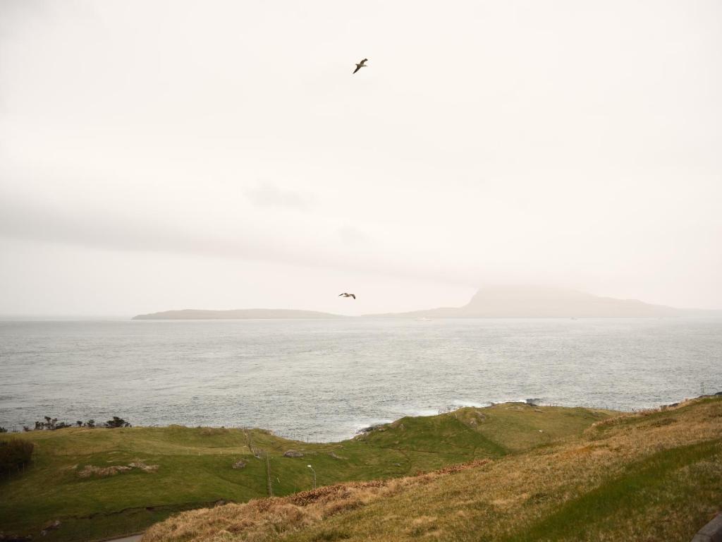 ein Vogel, der über einen Wasserkörper fliegt in der Unterkunft Stunning 1-Bedroom Apt with Breathtaking Scenery in Tórshavn