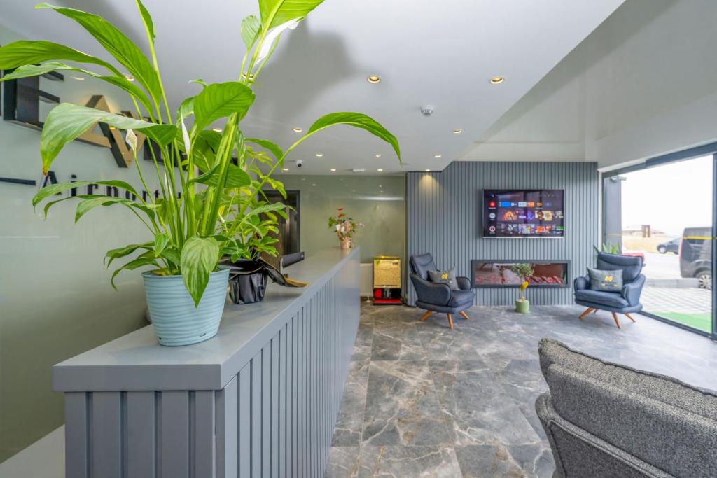 a living room with a large plant in a vase at Heaven Inn Airport Hotel in Arnavutköy