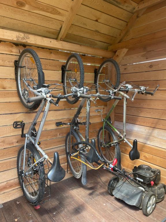 Jazda na bicykli v okolí ubytovania Wałpusz - Mazurski Domek z Duszą
