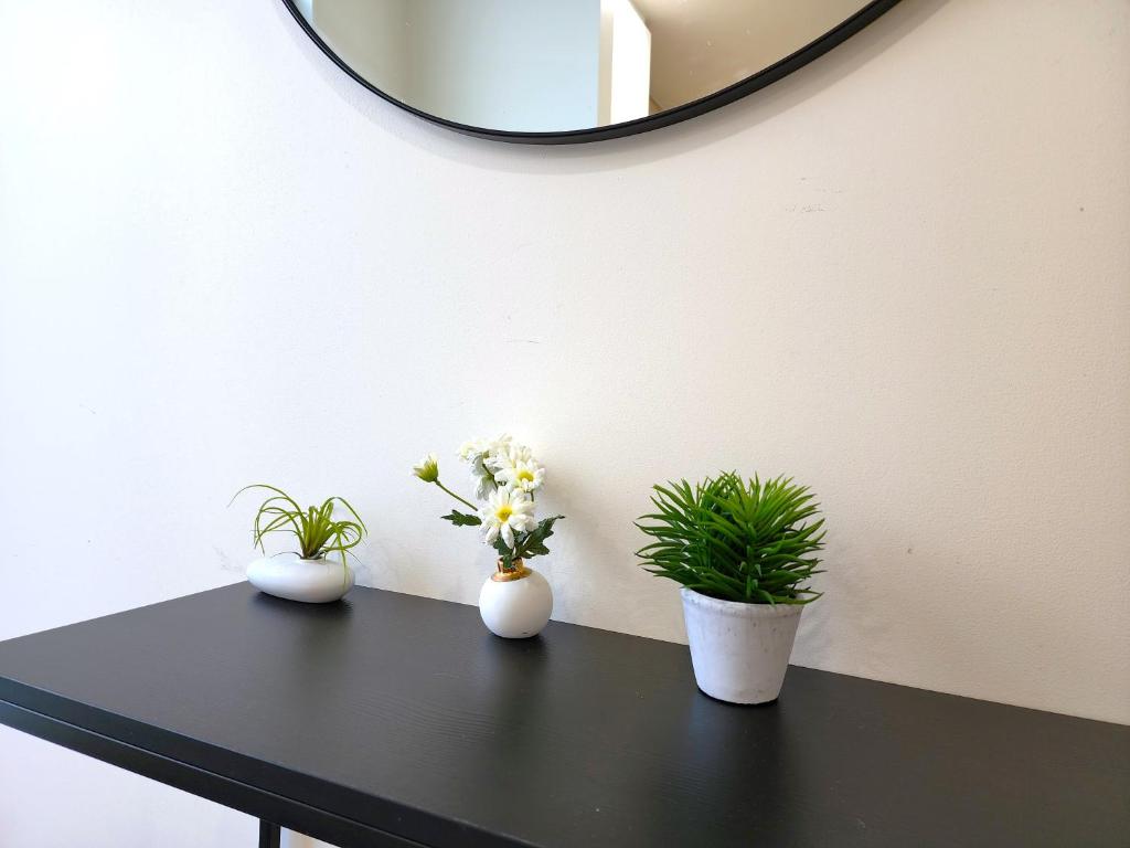 U Suites on Jessie - Resim 22