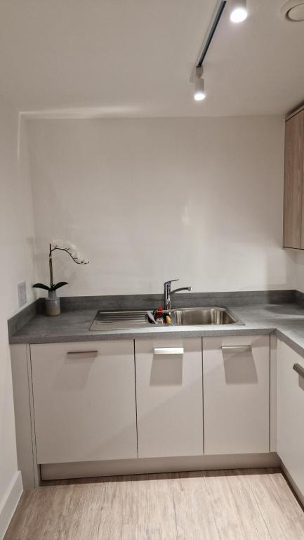 Kuchyň nebo kuchyňský kout v ubytování Luxury Apartment Birmingham