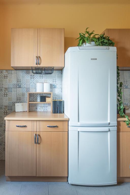 Kuchyňa alebo kuchynka v ubytovaní Apartament Premium Salt