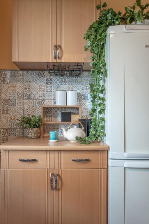 Kuchyňa alebo kuchynka v ubytovaní Apartament Premium Salt