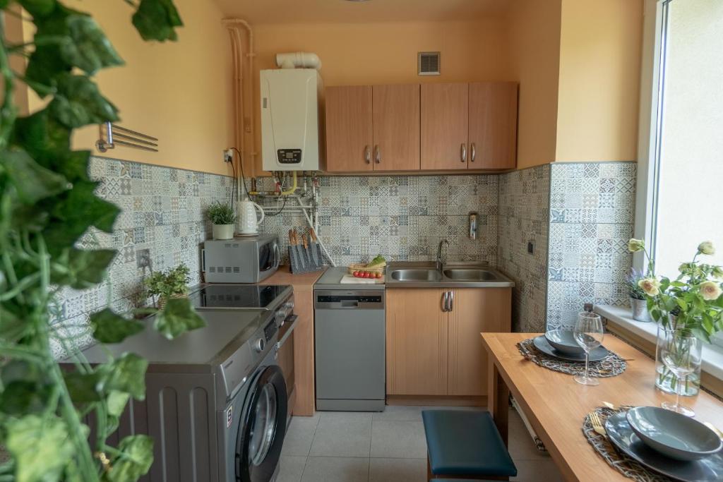 Kuchyňa alebo kuchynka v ubytovaní Apartament Premium Salt
