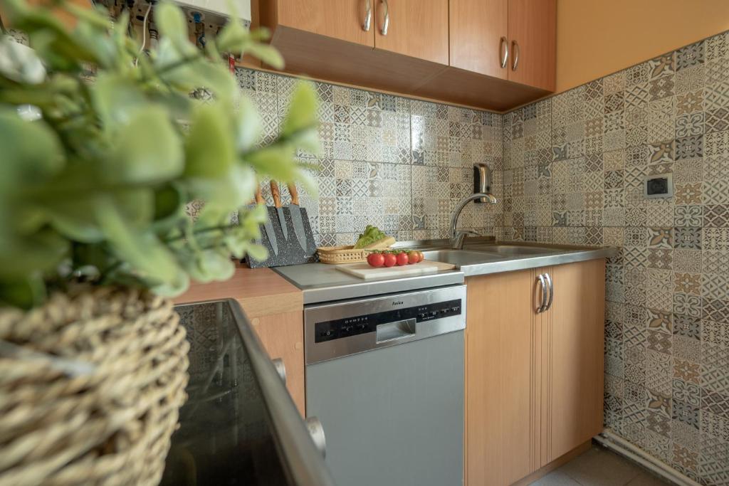 Kuchyňa alebo kuchynka v ubytovaní Apartament Premium Salt