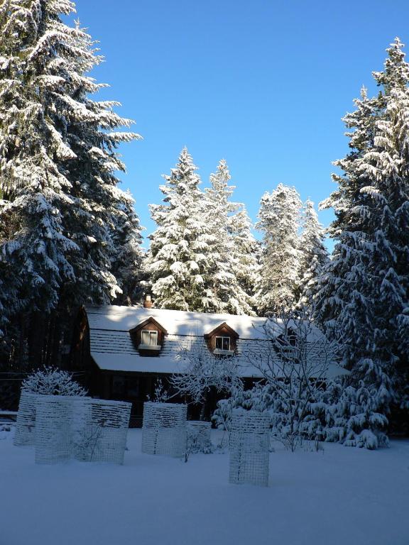 Cedar Song B&B v zimě