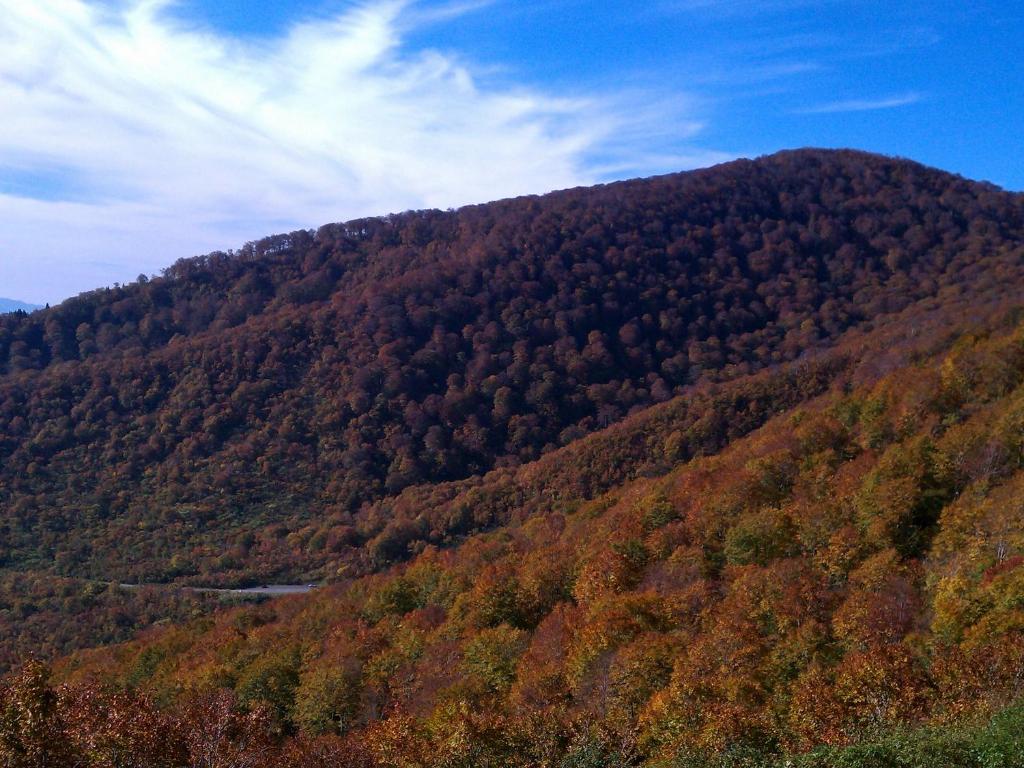Enlarged view